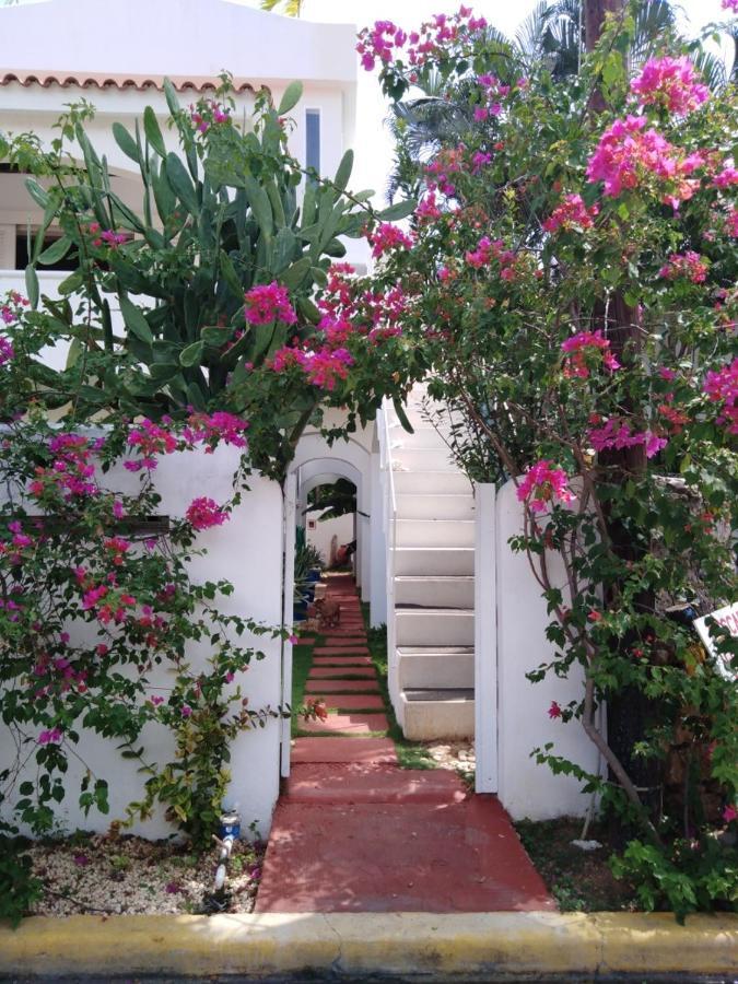 Caraibidamari Hotel Баяхибе Екстериор снимка